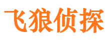 陇南市侦探调查公司